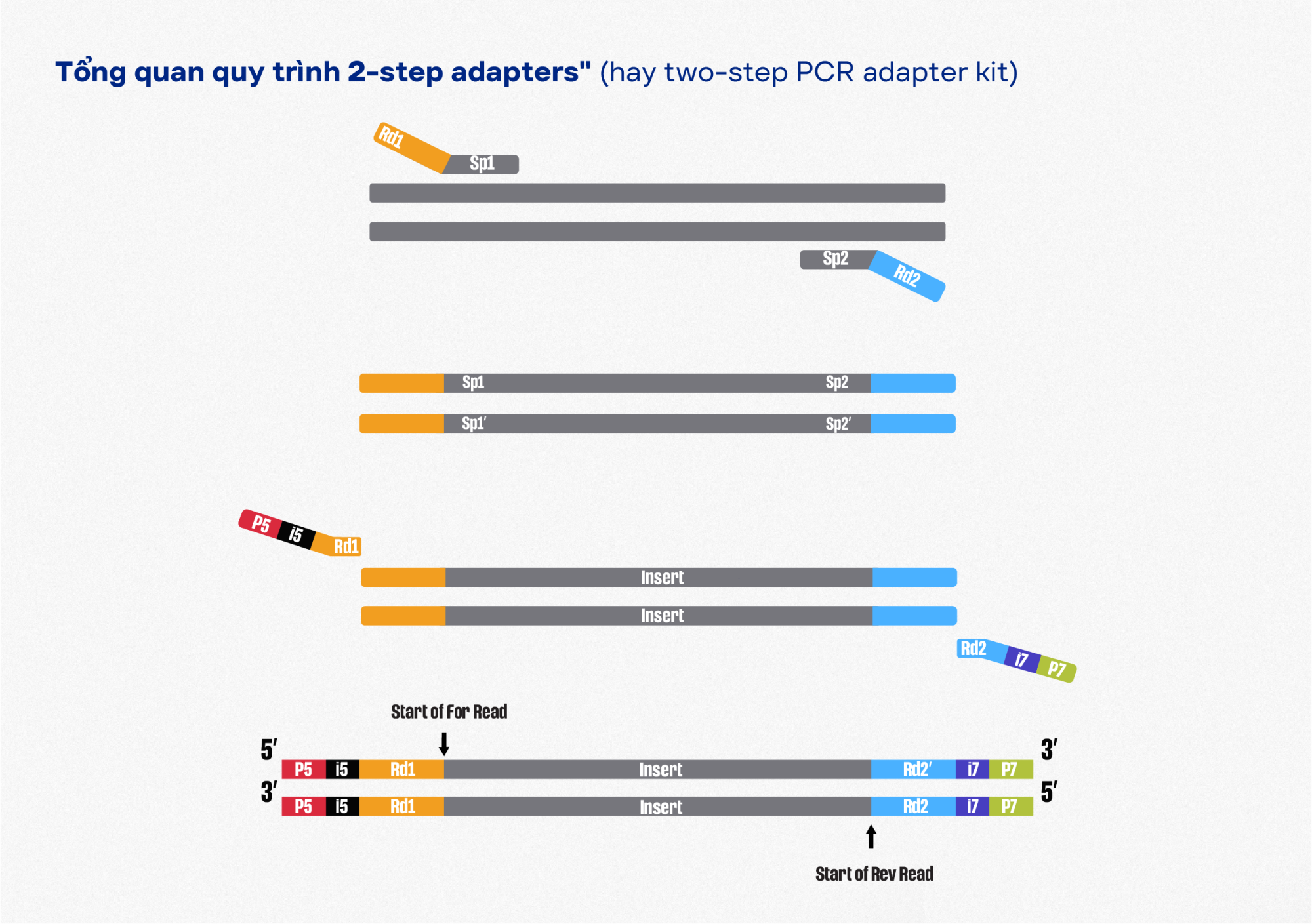 Truncated / Stubby Adapter NGS